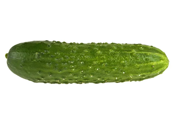 Komkommer geïsoleerd op witte achtergrond — Stockfoto