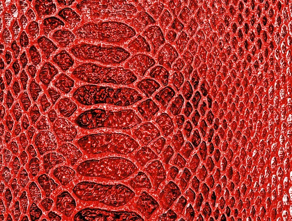 赤いヘビの皮膚の背景 — ストック写真