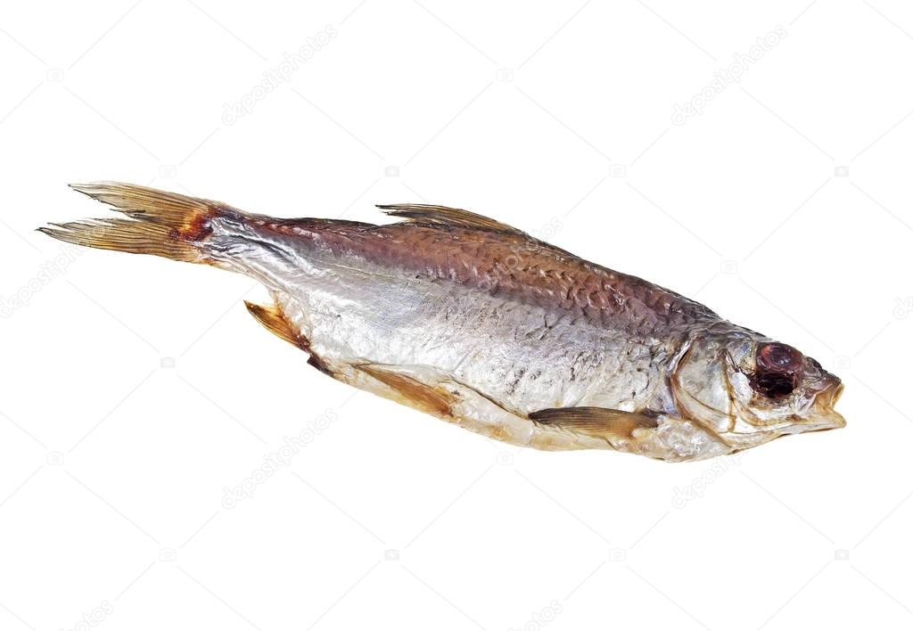 Dried fish isolated on white background