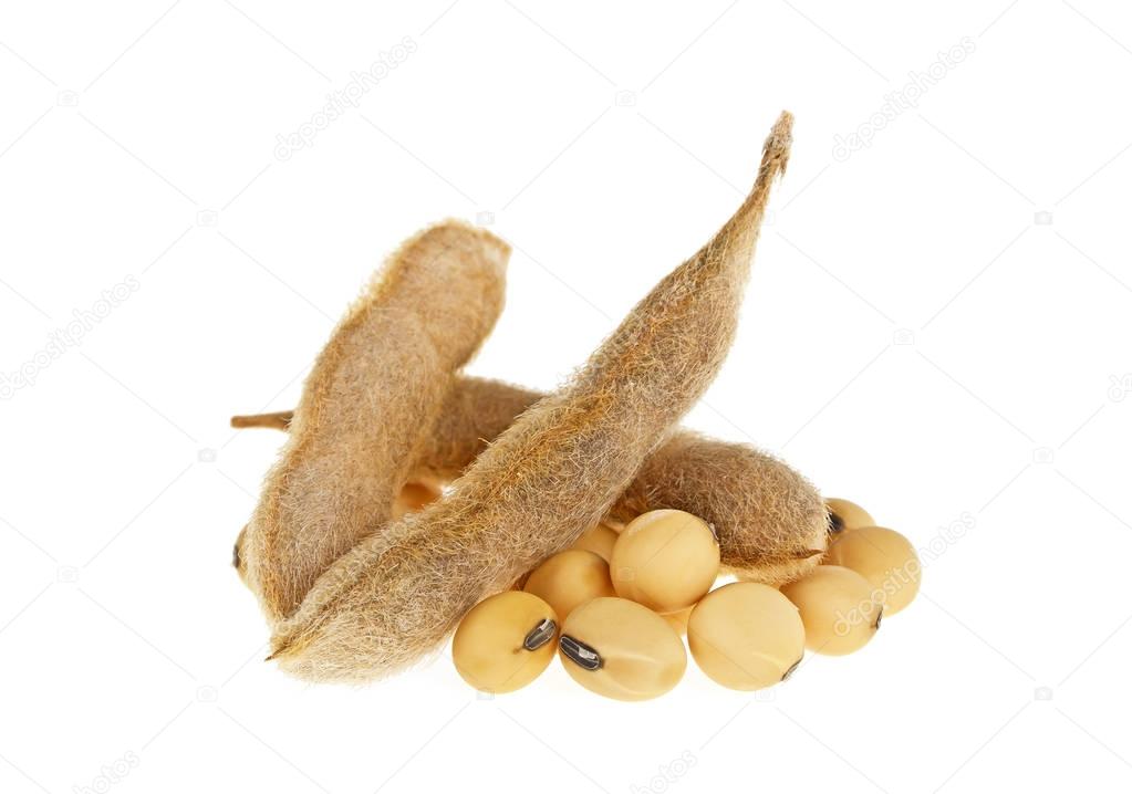 Soybean pods isolated on white background. Soya - protein plant — Stock ...