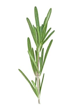 Biberiye beyaz arka plan üzerinde closeup izole