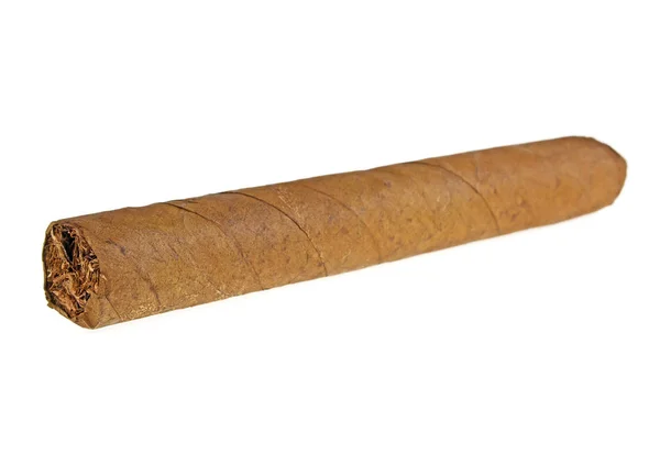 Brown cigar on a white background — Stock Photo, Image