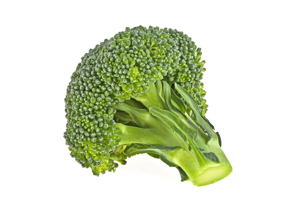 Frischer Brokkoli isoliert auf weißem Hintergrund — Stockfoto
