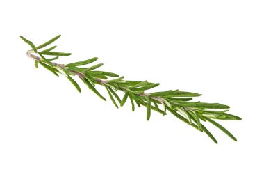 Beyaz arkaplanda biberiye izole edildi