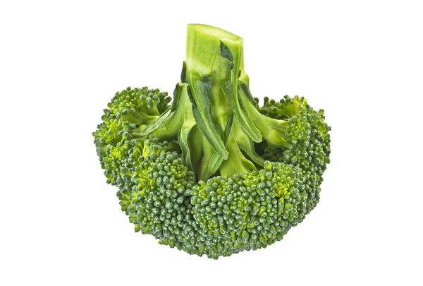 Brocoli frais isolé sur fond blanc — Photo