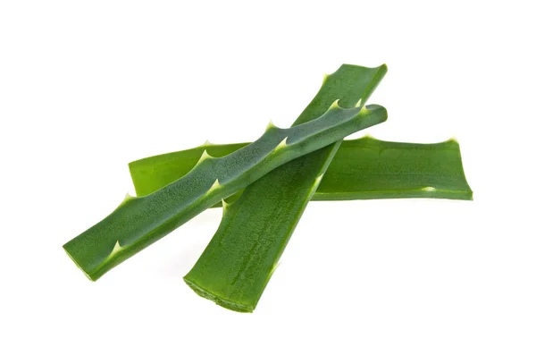 Aloe Vera isoliert auf weißem Hintergrund — Stockfoto