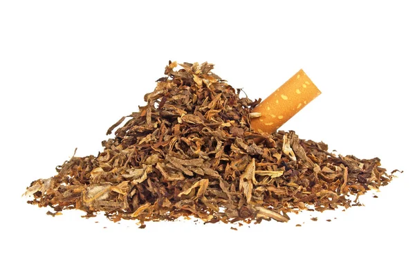 Tabacco da fumo essiccato e filtro per sigarette su sfondo bianco — Foto Stock