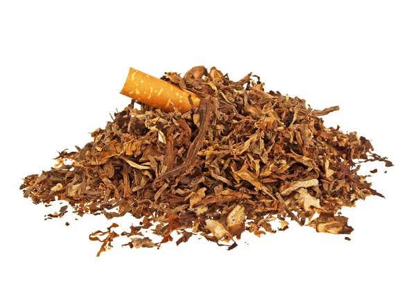 Gedroogd roken van tabak en sigaretten filter op een witte achtergrond — Stockfoto