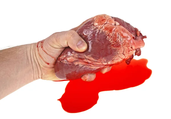 Mano ensangrentada sostiene el corazón, imagen sobre un fondo blanco — Foto de Stock