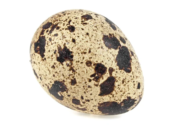 白い背景の上のウズラの卵 — ストック写真