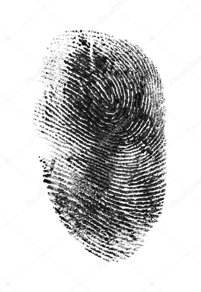 Fingerprint on white background