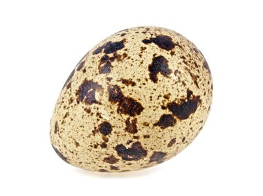 Bıldırcın yumurta beyaz zemin üzerine