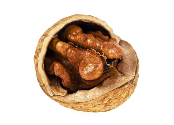 Dried walnut on a white background, close up — Stock Photo, Image