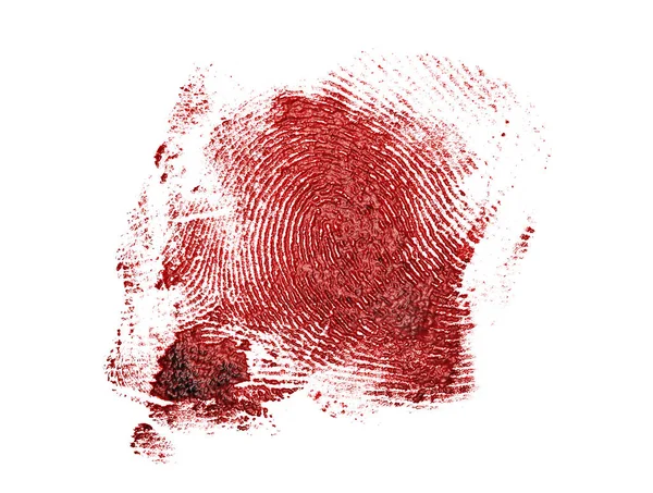 Huella dactilar sangrienta sobre un fondo blanco —  Fotos de Stock