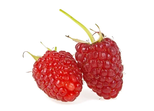 Reife Himbeeren isoliert auf weißem Hintergrund, Nahaufnahme — Stockfoto