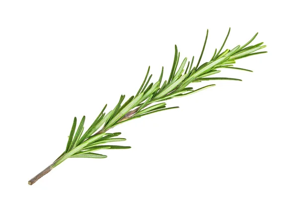 Twig of rosemary on a white background — Stock Photo, Image