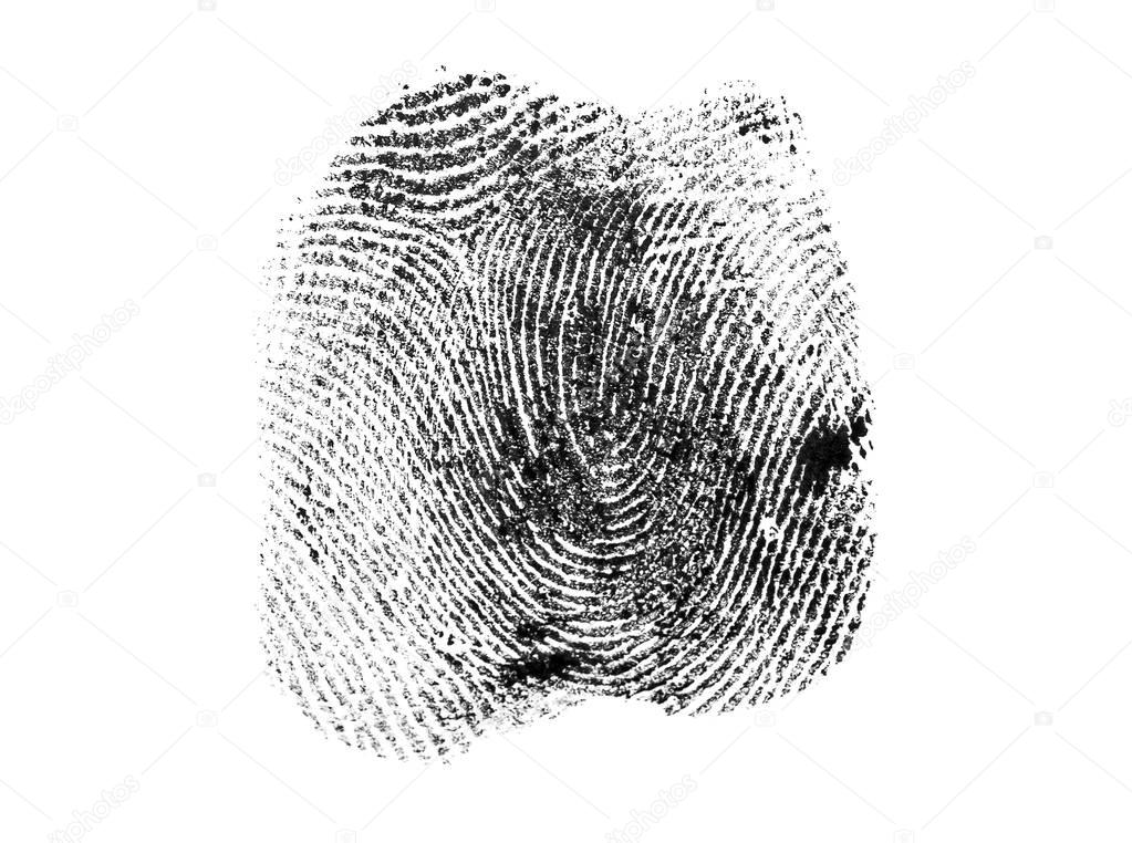 Fingerprint on white background