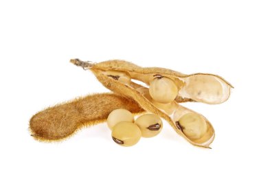 Soya bakla ve beyaz arka plan üzerinde izole fasulye