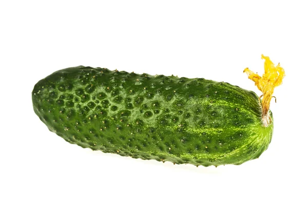 Fresh cucumber isolated over white background — Stock Photo, Image