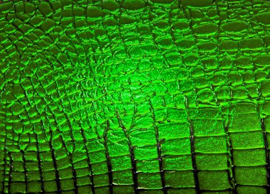 Texture dark green patent leather crocodile, close up clipart