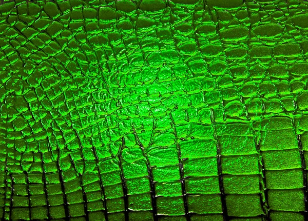 Textuur van donkere groene lakleder krokodil, close-up — Stockfoto