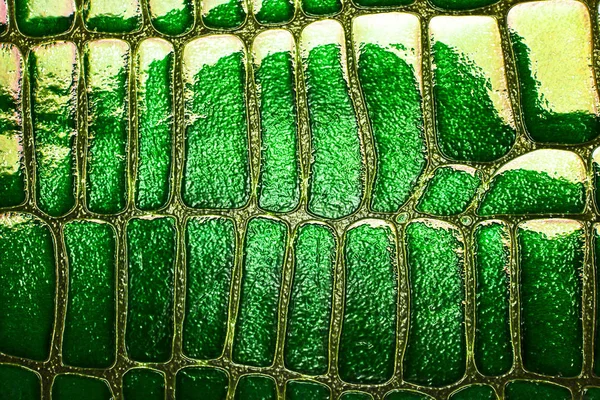 Peau de serpent vert avec motif, reptile — Photo