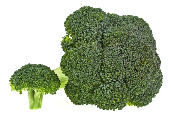 Verse Broccoli groente geïsoleerd op witte achtergrond — Stockfoto