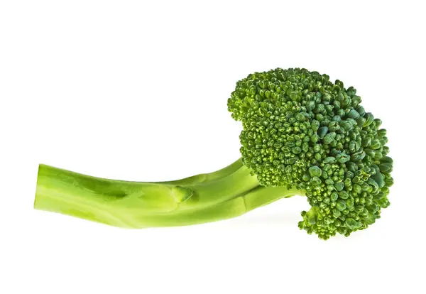 Broccoli geïsoleerd op witte achtergrond — Stockfoto