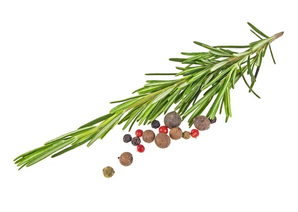 Rosemary and peppercorns isolated on a white background — Stock Photo, Image