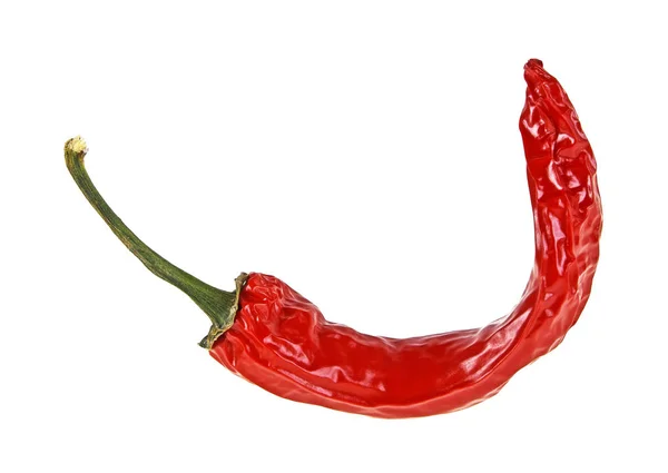 Een rode hete chili peper geïsoleerd op witte achtergrond — Stockfoto