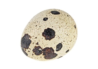 Beyaz arka plan üzerinde izole tek Bıldırcın yumurta