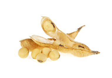 Beyaz arka plan üzerinde izole soya bakla