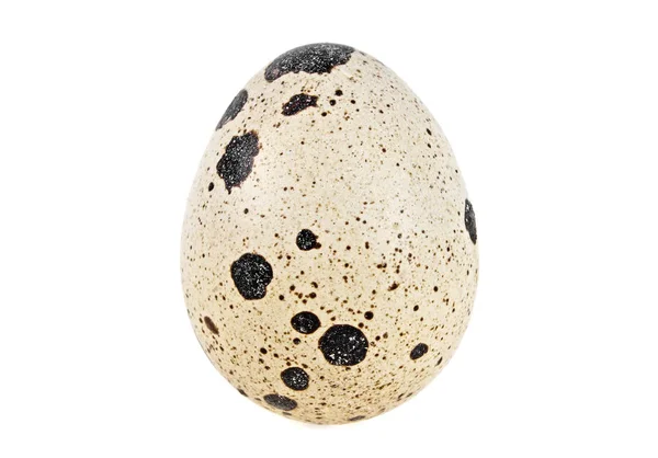 Quail egg on a white background — Stock Photo, Image