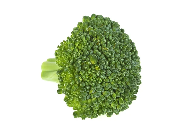 Roher Brokkoli isoliert auf weißem Hintergrund — Stockfoto