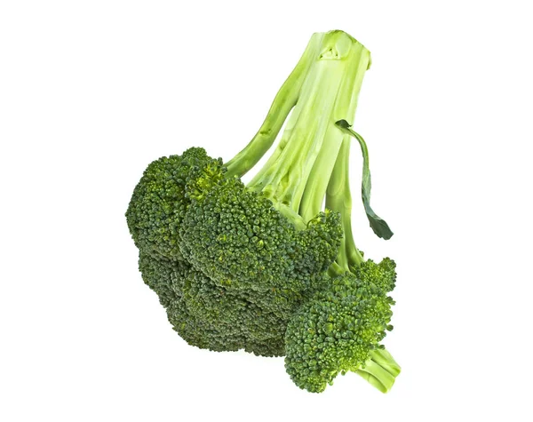 Broccoli plantaardige geïsoleerd op een witte achtergrond — Stockfoto