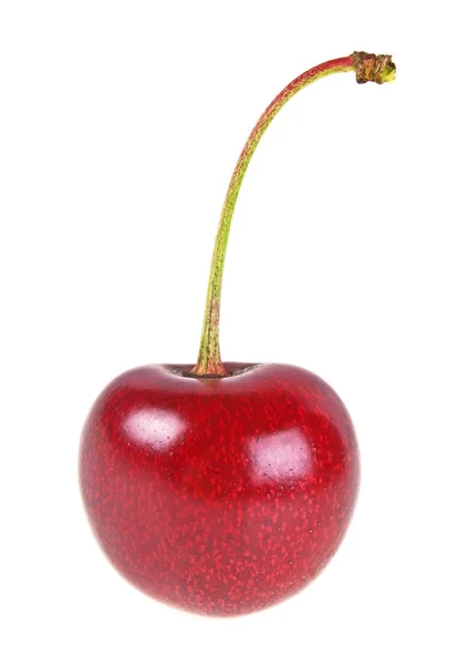 Sweet cherry isolated on white background — Stock Photo, Image