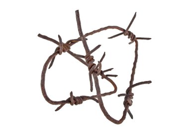 Paslı dikenli tel beyaz arka plan üzerinde