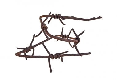 Beyaz arka planda eski paslı dikenli tel