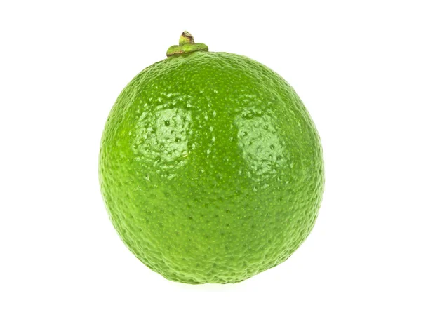 Fresh lime isolated on a white background — Stock Photo, Image