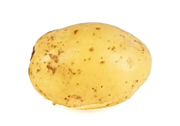 Fresh potato isolated on white background — Stock Photo, Image