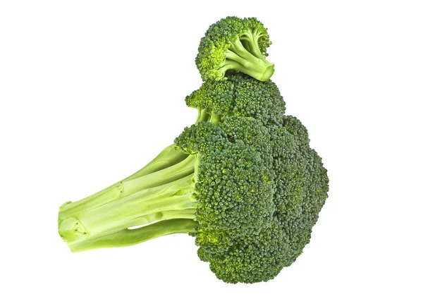 Čerstvé syrové brokolice izolované na bílém pozadí — Stock fotografie