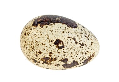 bir bıldırcın yumurtası izole üzerinde beyaz arka plan