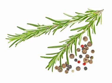 Biberiye ve beyaz zemin üzerine karabiber taze dal