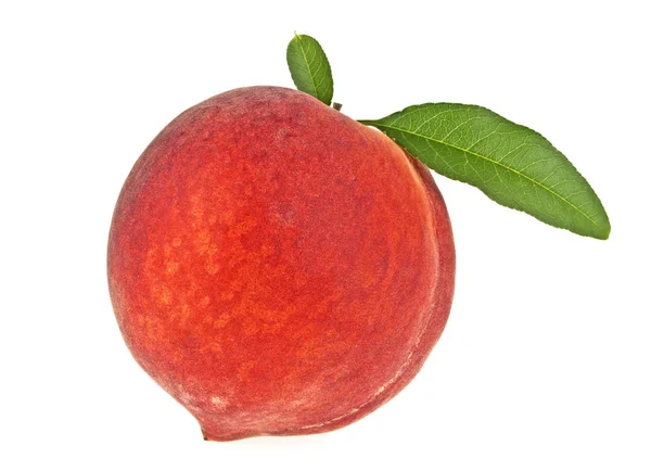 Персик с изолированным листом на белом фоне — стоковое фото