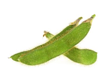Edamame soya fasulyesi beyaz bir arka plan üzerinde kapat