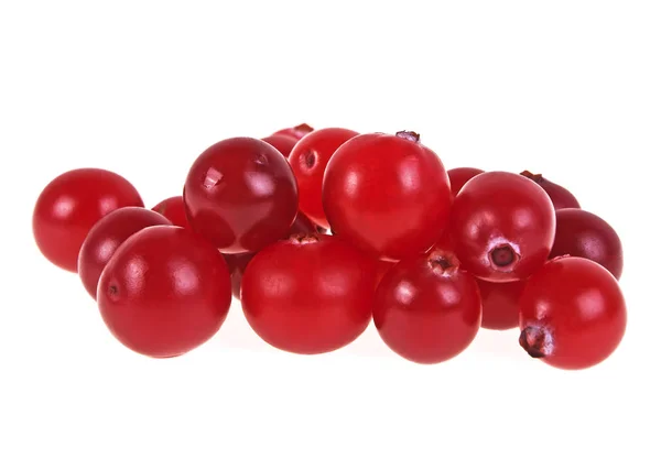 Juicy cranberry isolated on a white background — Stock Photo, Image