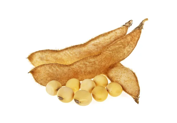 Sojabonen en zaden geïsoleerd op een witte achtergrond — Stockfoto