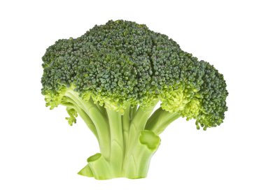 Brokoli beyaz bir arkaplanda izole edilmiş