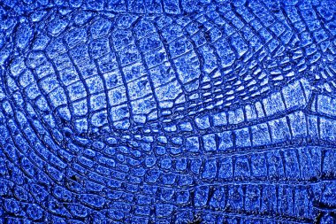 Duvar kağıdı olarak mavi Timsah Cilt dokusunu