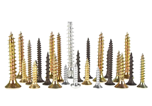 Beyaz bir arka plan üzerinde farklı metal vida grubu